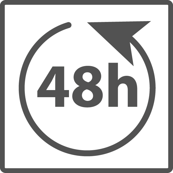 consegna entro 48 ore