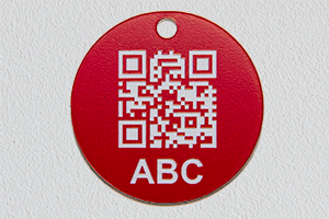 Resinoplastica incisa - gettone codice QR