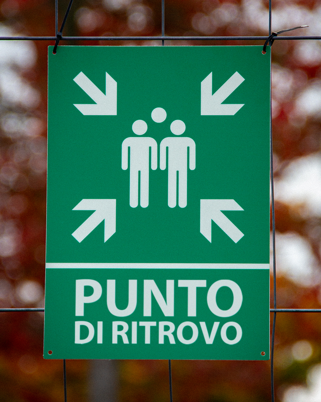 segnaletica_punto_di_raccolta
